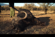 Seneca Dragon Claw 500cc Ultimate Hunters Combo by Seneca